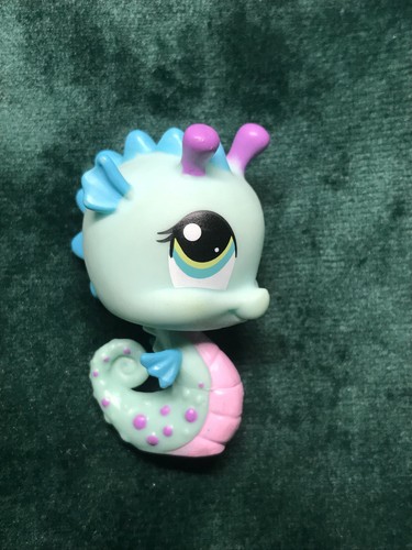 Petshop hippocampe - 💖petshop,