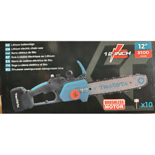 Scie à Chaîne Batterie