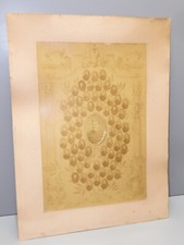 -CARTON PHOTOS SOLDATS CLASSE 1885 du 14 JUILLET 88 COLLECTION MILITARIA   D