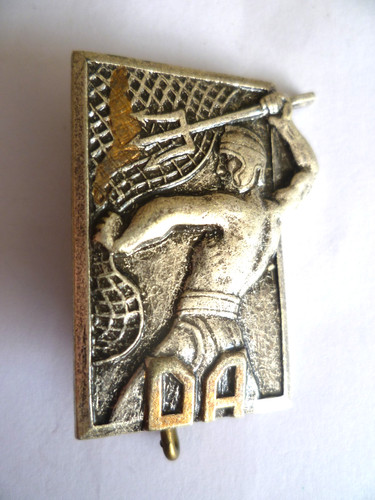 Armee air insigne du - de,