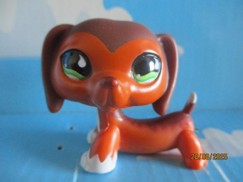 Petshop chien teckel - petshop,