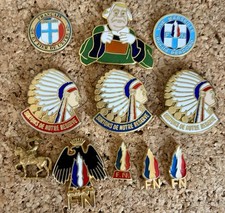 Lot  11 PINS PIN'S .. POLITIQUE PARTI F.N FN FRONT NATIONAL LE PEN Dont Rare