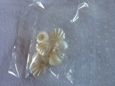 PLAYMOBIL  PETITS COQUILLAGES