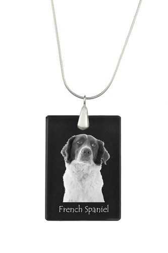 épagneul français collier - Épagneul,