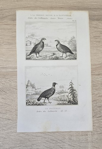 Gravure originale sur cuivre