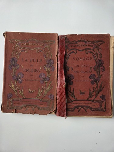Lot livres anciens xixe - 2,