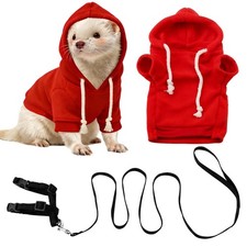 Ensemble vêtements et laisse