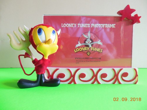 Looney tunes cadre photo - tunes,