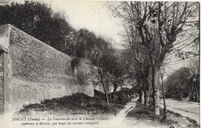CPA JOIGNY - La Guimbarde avec