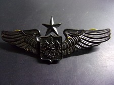 Aviation . Pilote Senior