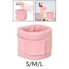 Attelle de cou pour chien, accessoires légers, collier de protection