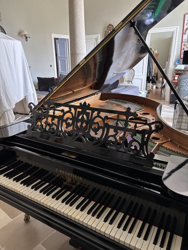 Piano queue bechstein equipe - piano,