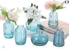 Ezvsevuo Vases en Verre, Lot de 6 Petits Vases pour Decoratifs de Table