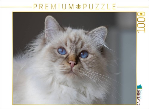 Calvendo puzzle ein motiv aus - puzzle,