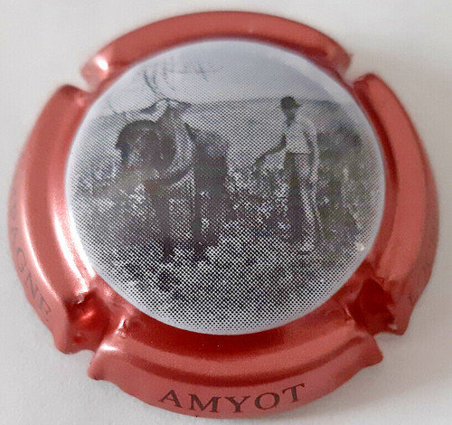 Capsule champagne amyot - de,