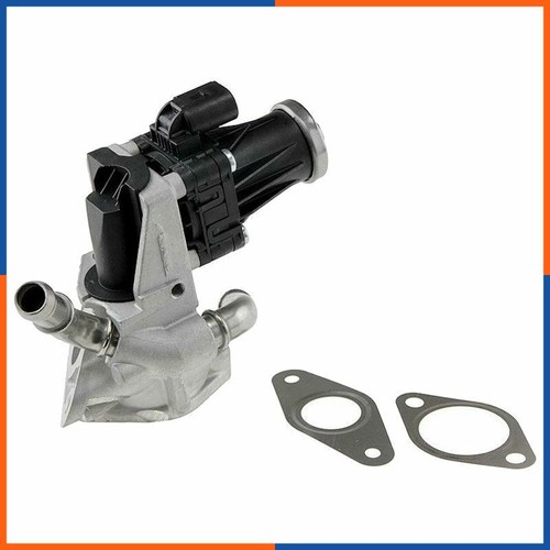 Vanne egr pour citroën - pour,
