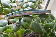TAKE Wobbler Popper Jerkbait