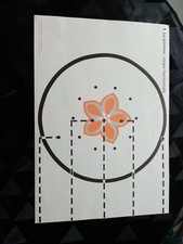 ancien croquis de sciences:la pomme/l'orange.edition rossignol.36cms/52cms