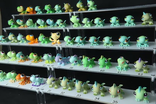 Grenouilles lps lézard - grenouilles, lps,