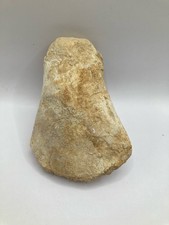 Os de pagaie de mosasaure du