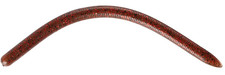 Reins Swamp Micro 2.8" - 7cm