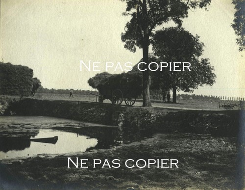 Paysan vers 1910 carriole