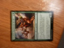 x1 Carte Magic MTG Cavalière façonneuse de vie VF (La Révolte Ethérique)