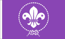 Drapeau scout à manches