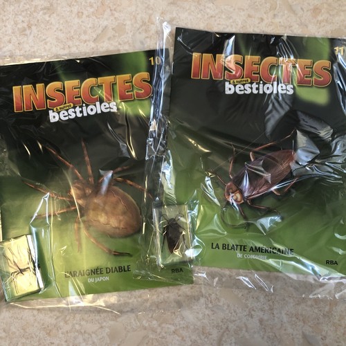 Collection insectes autre - insectes, &