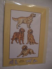 CARTE + ENVELOPPE - chien   GOLDEN RETRIEVER