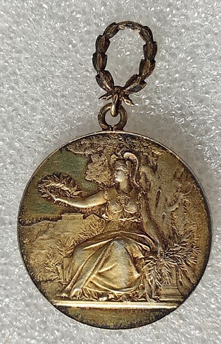 Medaille argent dore academie - dore,