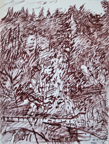 Robert savary dessin - robert, au