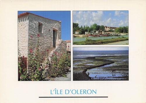 Ile oleron maison - 17, avec