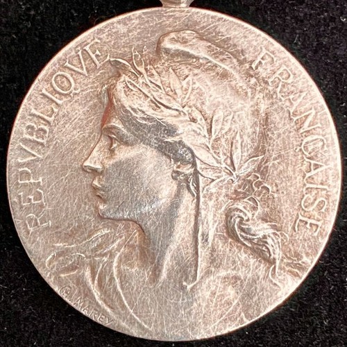 Médaille des epidémies la - médaille,