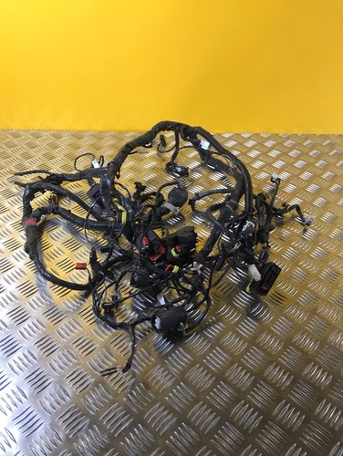 Faisceau électrique pour