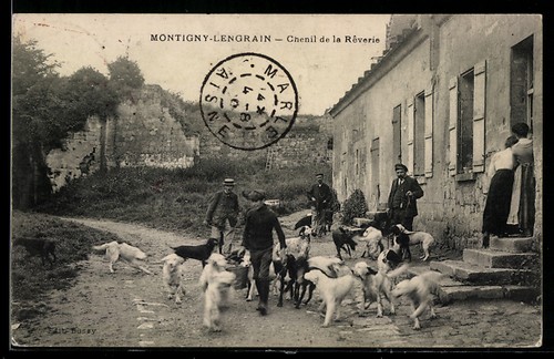 Cpa montigny lengrain chenil - cpa,