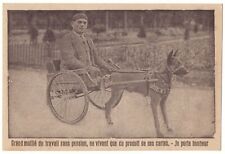 Voiture a chien. Grand mutilé du travail sans pension, ne vivant que du produit 