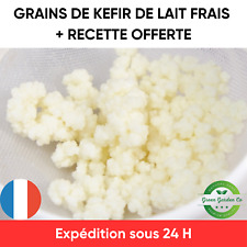 Kéfir de lait Kit de démarrage de Culture Recette complète incluse 10g