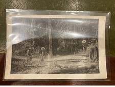 GUYANE : Saint Laurent du Maroni - exploitation forestière (bois bagnard) (arc