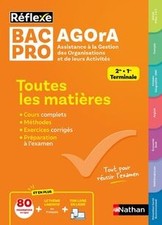 Bac pro Agora, assistance à
