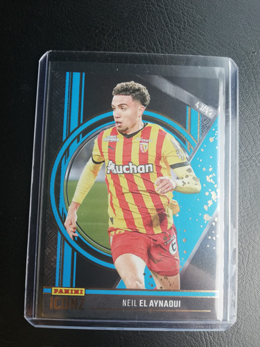 Panini iconz aynaoui - el,