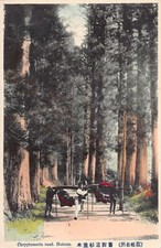 Japan - HAKONE - Chryptomeria road - Hammock chairs