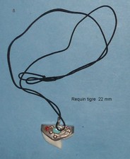 Pendentif Dent de requin Tigre  N°8  22 mm