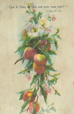 CP ILLUSTREE QUE LE DIEU DE