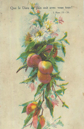 Illustree que dieu - illustree,