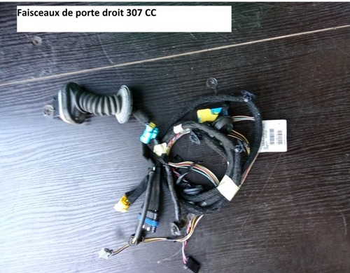 Faisceaux électrique porte - faisceaux, de