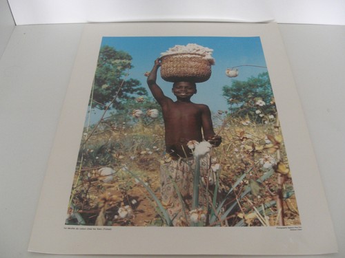 Ancienne planche affiche - ancienne,