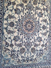 Magnifique tapis nain 201 - magnifique,