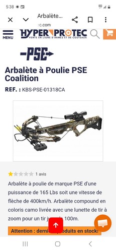 Arbalètes poulie - à,