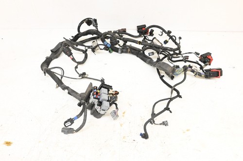 Faisceau câblage moteur - de,